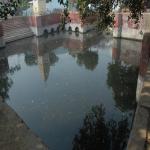 Vraj-Yatra-2014- (410)